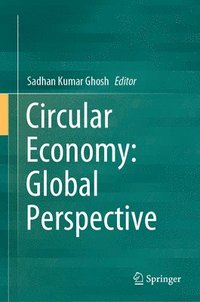 bokomslag Circular Economy: Global Perspective