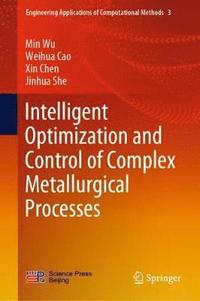 bokomslag Intelligent Optimization and Control of Complex Metallurgical Processes