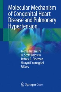 bokomslag Molecular Mechanism of Congenital Heart Disease and Pulmonary Hypertension