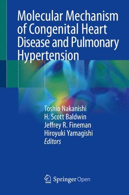 Toshio Nakanishi, H. Scott Baldwin, Jeffrey R. Fineman, Hiroyuki Yamagishi - Molecular Mechanism of Congenital Heart Disease and Pulmonary Hypertension, Häftad