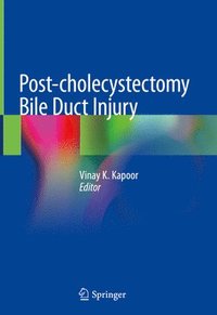 bokomslag Post-cholecystectomy Bile Duct Injury