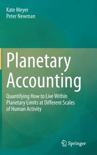 bokomslag Planetary Accounting
