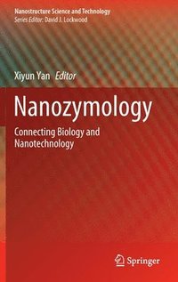 bokomslag Nanozymology