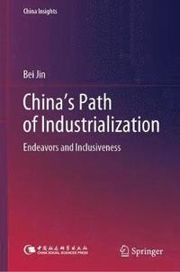 bokomslag China's Path of Industrialization