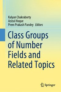 bokomslag Class Groups of Number Fields and Related Topics