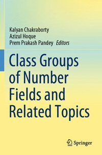 bokomslag Class Groups of Number Fields and Related Topics