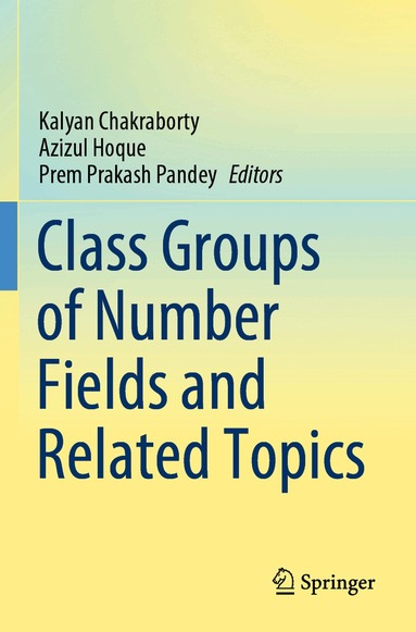 Kalyan Chakraborty, Azizul Hoque, Prem Prakash Pandey - Class Groups of Number Fields and Related Topics, Häftad