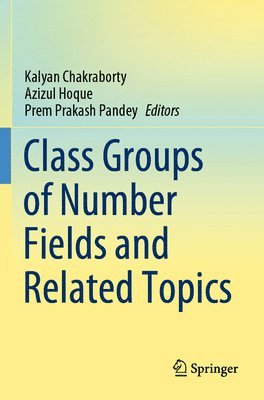 bokomslag Class Groups of Number Fields and Related Topics