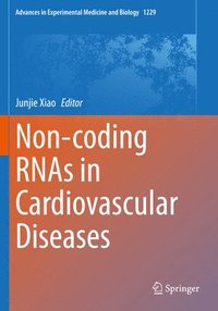 bokomslag Non-coding RNAs in Cardiovascular Diseases