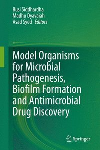 bokomslag Model Organisms for Microbial Pathogenesis, Biofilm Formation and Antimicrobial Drug Discovery
