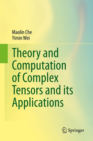 bokomslag Theory and Computation of Complex Tensors and its Applications