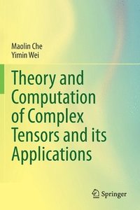 bokomslag Theory and Computation of Complex Tensors and its Applications