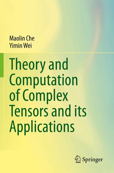 Maolin Che, Yimin Wei - Theory and Computation of Complex Tensors and its Applications, Häftad