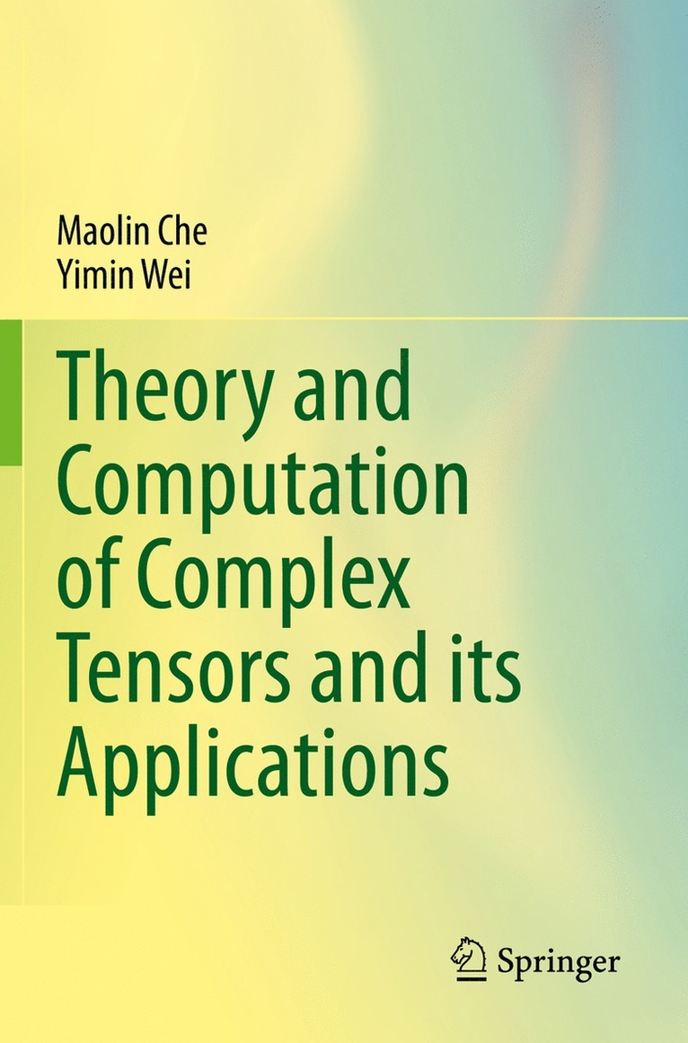 Maolin Che, Yimin Wei - Theory and Computation of Complex Tensors and its Applications, Häftad