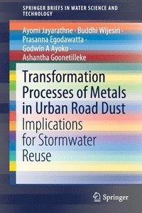 bokomslag Transformation Processes of Metals in Urban Road Dust