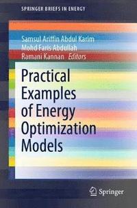 bokomslag Practical Examples of Energy Optimization Models