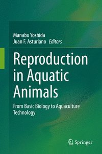 bokomslag Reproduction in Aquatic Animals