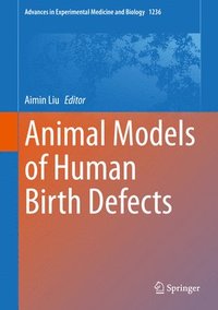 bokomslag Animal Models of Human Birth Defects