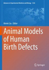 bokomslag Animal Models of Human Birth Defects