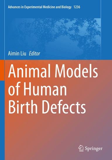 Aimin Liu - Animal Models of Human Birth Defects, Häftad
