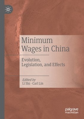 bokomslag Minimum Wages in China