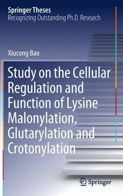 bokomslag Study on the Cellular Regulation and Function of Lysine Malonylation, Glutarylation and Crotonylation