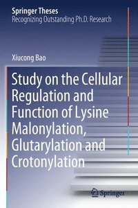 bokomslag Study on the Cellular Regulation and Function of Lysine Malonylation, Glutarylation and Crotonylation