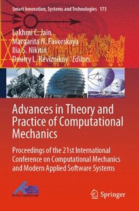 bokomslag Advances in Theory and Practice of Computational Mechanics