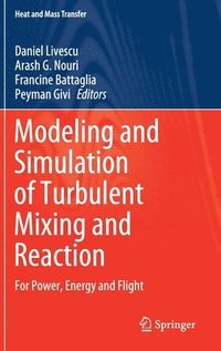 bokomslag Modeling and Simulation of Turbulent Mixing and Reaction