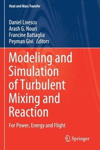 bokomslag Modeling and Simulation of Turbulent Mixing and Reaction
