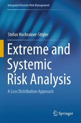 bokomslag Extreme and Systemic Risk Analysis