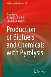 bokomslag Production of Biofuels and Chemicals with Pyrolysis