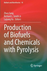 bokomslag Production of Biofuels and Chemicals with Pyrolysis
