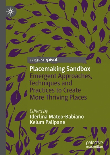 bokomslag Placemaking Sandbox