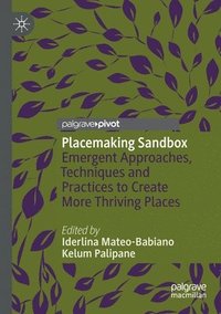 bokomslag Placemaking Sandbox