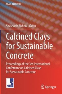 bokomslag Calcined Clays for Sustainable Concrete