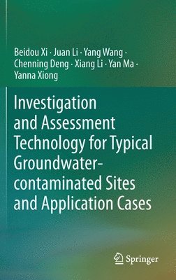 bokomslag Investigation and Assessment Technology for Typical Groundwater-contaminated Sites and Application Cases