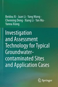 bokomslag Investigation and Assessment Technology for Typical Groundwater-contaminated Sites and Application Cases