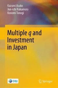 bokomslag Multiple q and Investment in Japan