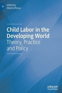 bokomslag Child Labor in the Developing World