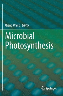 bokomslag Microbial Photosynthesis