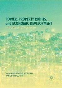 bokomslag Power, Property Rights, and Economic Development