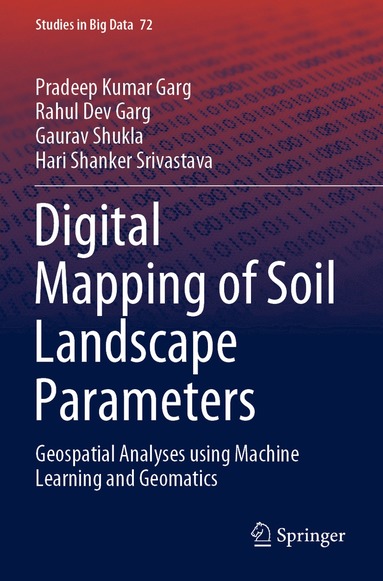 bokomslag Digital Mapping of Soil Landscape Parameters