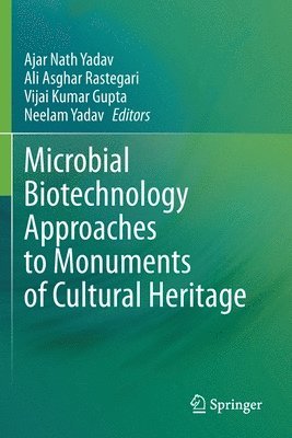 bokomslag Microbial Biotechnology Approaches to Monuments of Cultural Heritage