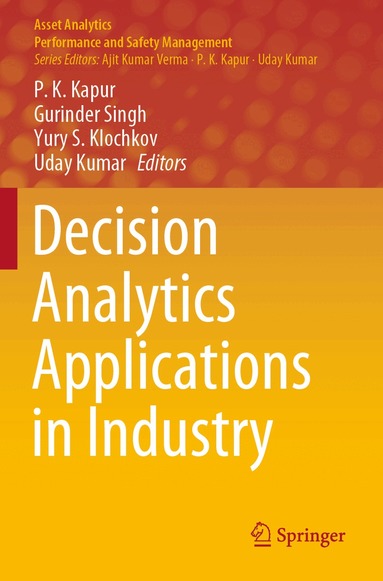 P. K. Kapur, Gurinder Singh, Yury S. Klochkov, Uday Kumar - Decision Analytics Applications in Industry, Häftad