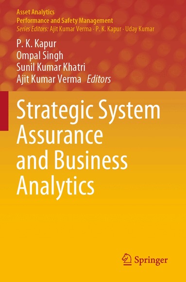 P. K. Kapur, Ompal Singh, Sunil Kumar Khatri, Ajit Kumar Verma - Strategic System Assurance and Business Analytics, Häftad