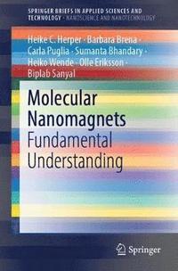 bokomslag Molecular Nanomagnets