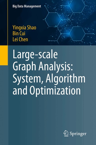 Yingxia Shao, Bin Cui, Lei Chen - Large-scale Graph Analysis: System, Algorithm and Optimization, Inbunden