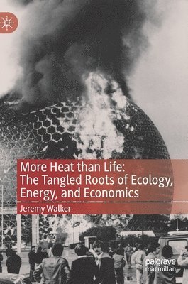 bokomslag More Heat than Life: The Tangled Roots of Ecology, Energy, and Economics