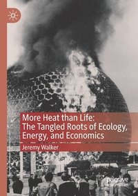 bokomslag More Heat than Life: The Tangled Roots of Ecology, Energy, and Economics